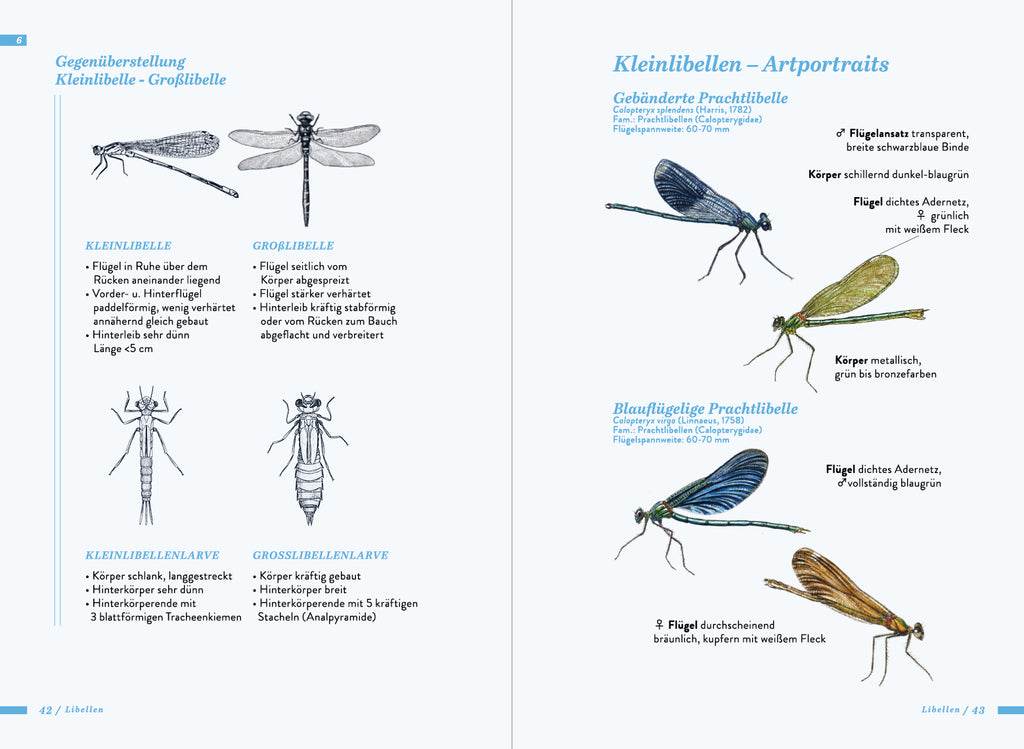 Die kleine Exkursionsfauna