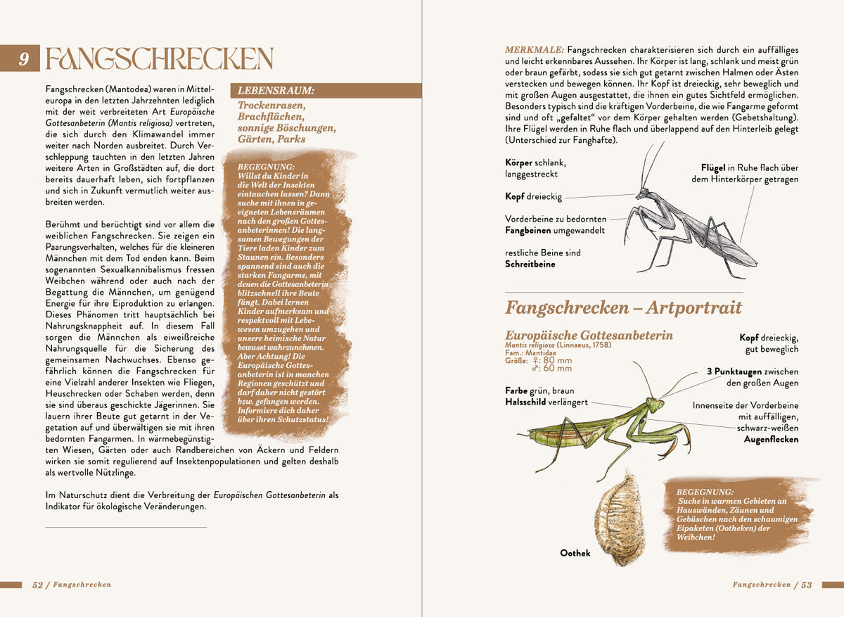Die kleine Exkursionsfauna
