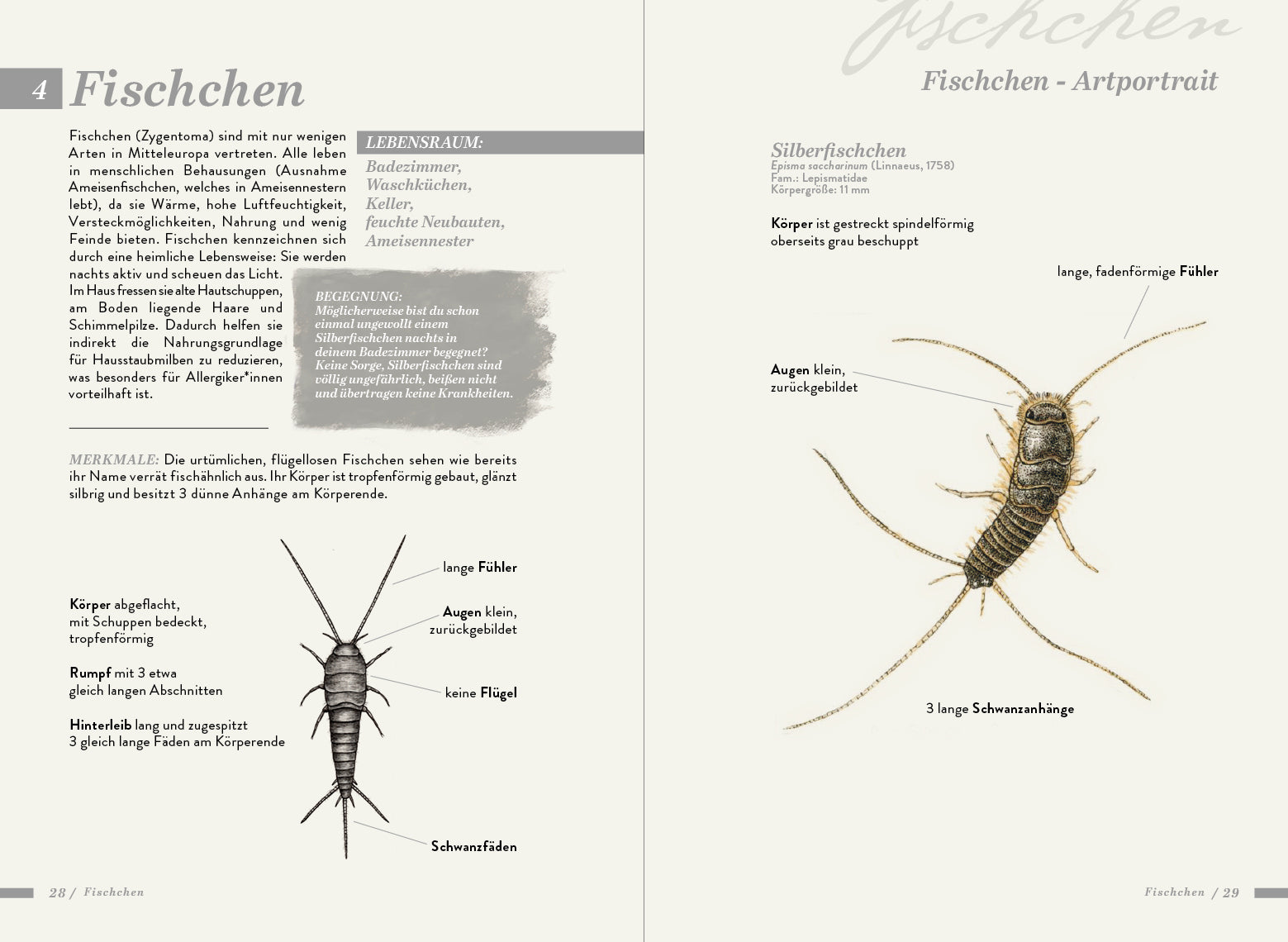 Die kleine Exkursionsfauna