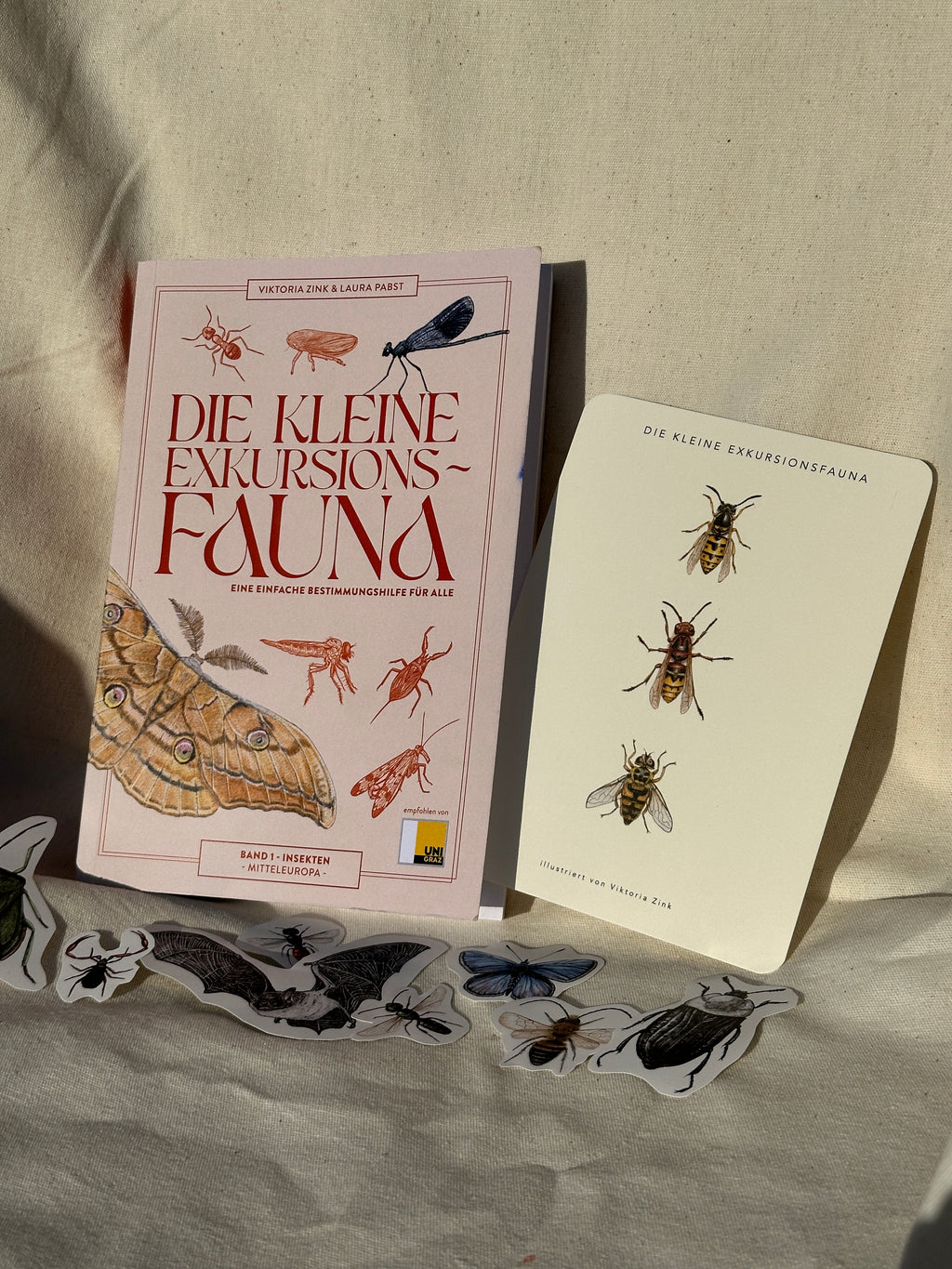 Die kleine Exkursionsfauna