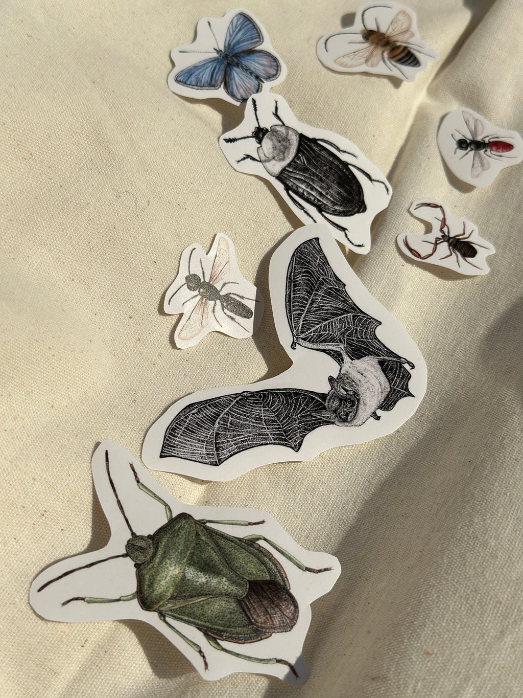 Die kleine Exkursionsfauna