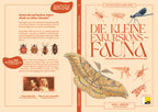 Die kleine Exkursionsfauna